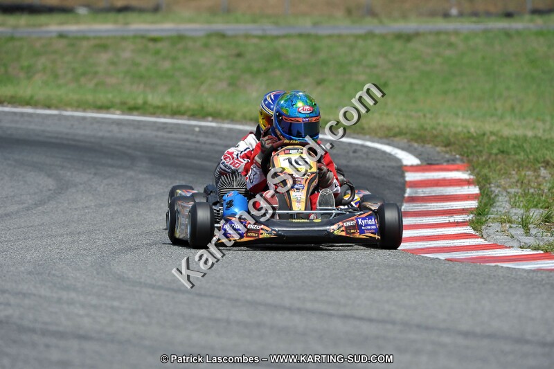 DSC_ (430).jpg